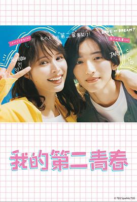 32项独立站seo优化手册